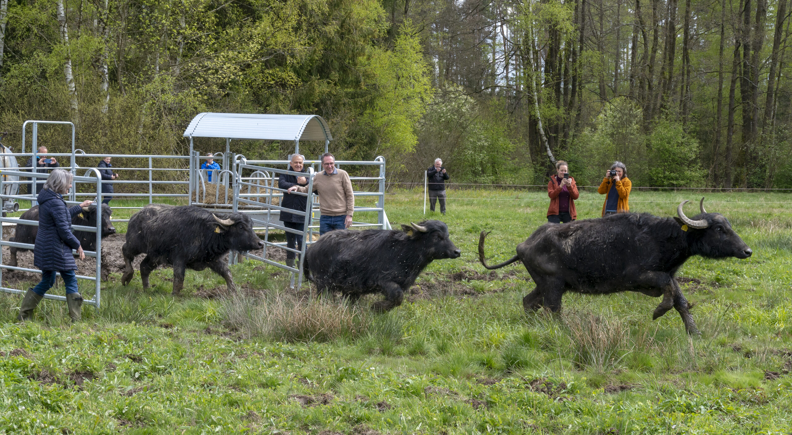 Die wilde Weide wird eröffnet!