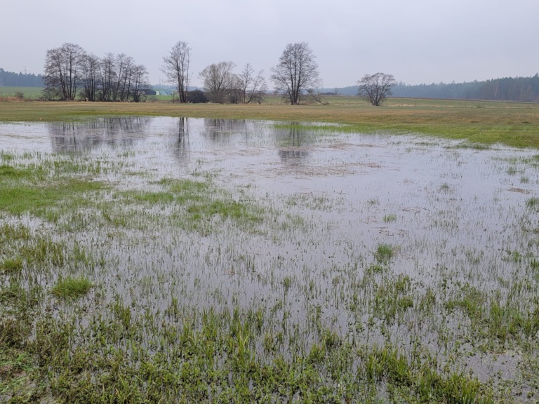 Entwicklungen der letzten Monate